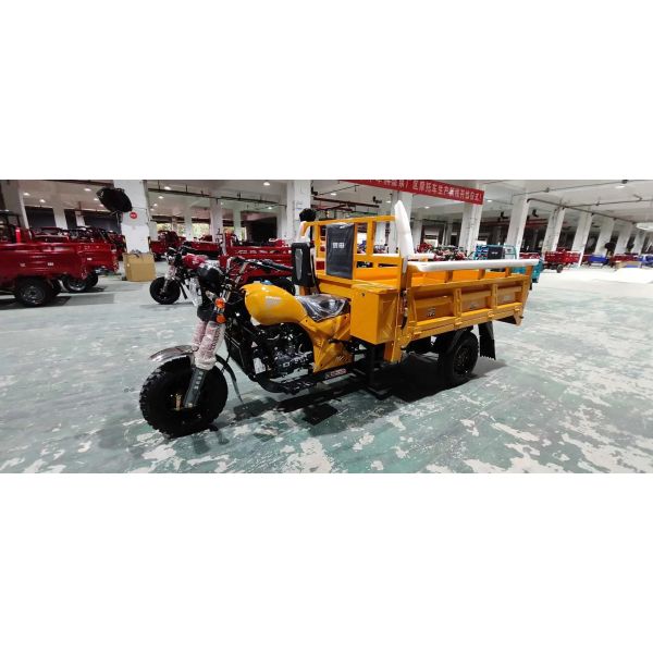 151 200cc Displacement 3 Wheel Gasoline Engine Motorized Petrol Cargo Tricycles for Adults