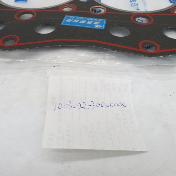 High Quality cylinder gasket 100302-300-0000