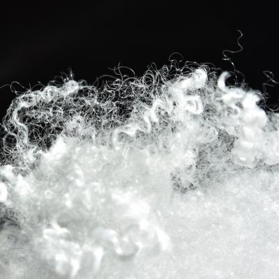 Cor branca regenerada amigável da fibra de grampo de poliéster de Eco com elasticidade alta