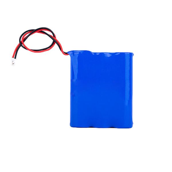 Разрядка батареи лития 2C 8AH 36V 18650 многофункциональная с удаленным монитором