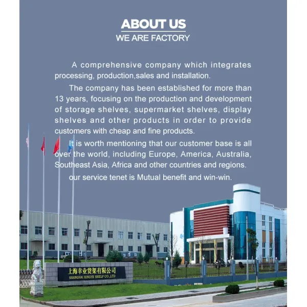 Ангельская стеклянная стойка для дисплеев Мегкая стальная слотная ангелская книжная полка Средняя работа