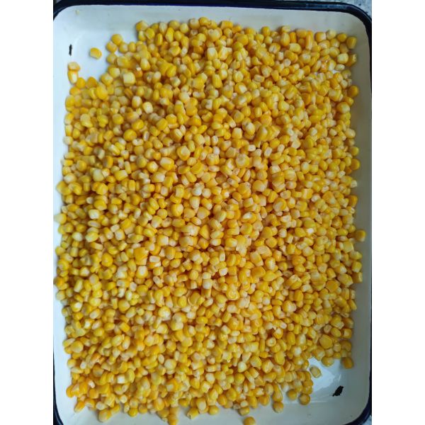 Top Quality Canned Sweet Corn 425g Net Weight for Cool Dry Storage in Restaurants and Food Manufacturers