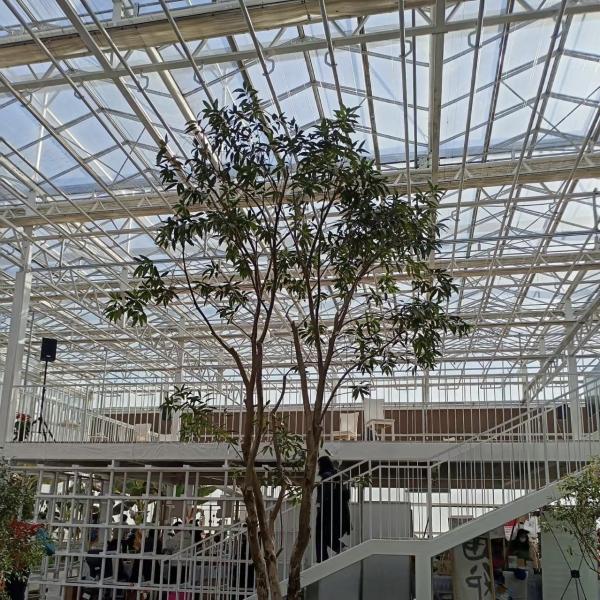 Commercial Greenhouse Customized a-Type Hydroponic for Flower Cultivation and Farming
