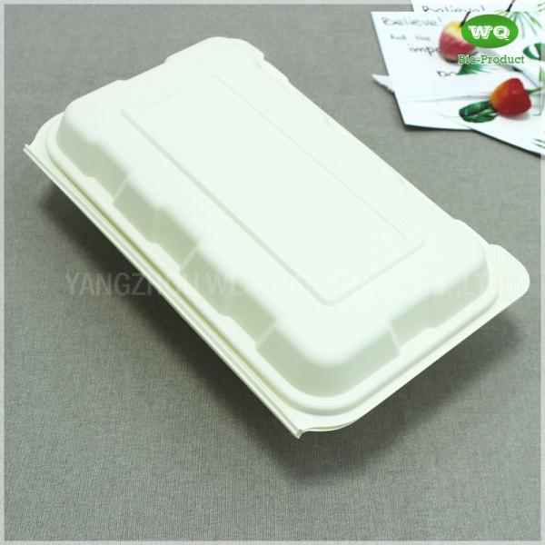 9x6 inch Compostable Corn-Starch Based Bioplastic Hinged 1-Com Lunch Bento Box -Biodegradable Food Container Factory