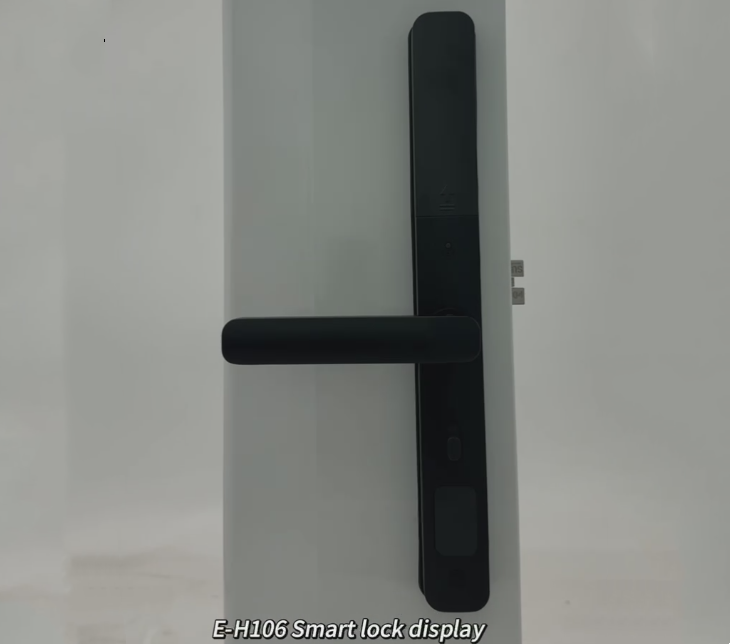 ELA High quality waterproof intelligent lock outdoor aluminum double-sided fingerprint door lock E-H106