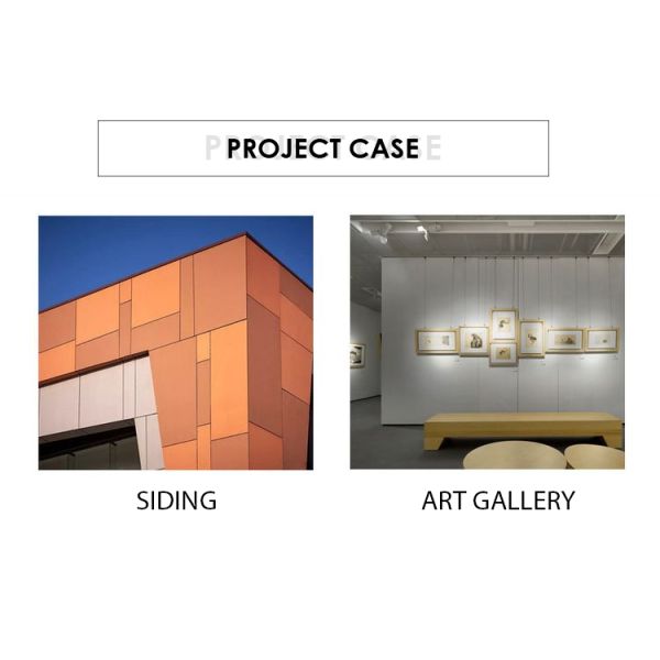 Project Solution Capability Graphic Fiber Cement Board for Cladding Wall Panel