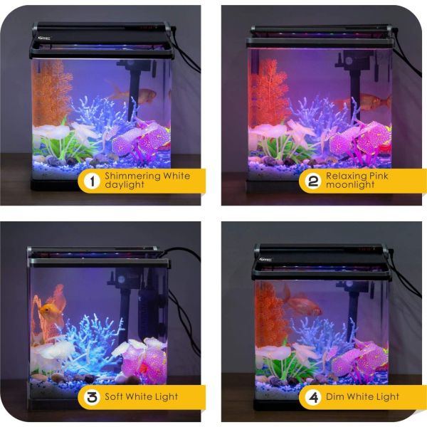 Smart 4 Gallon Desktop  Betta Office Fish Tank