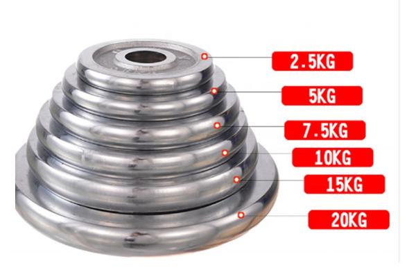 Silver Chrome Fitness Weight Plates 1kgs To 20kgs Cast Iron Dumbbell Plate