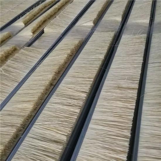 Tampico Sisal pinceau à bande pour le ponçage des produits de consommation à rouleaux Polissage du bois