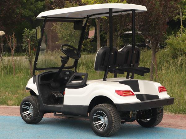 Carrinhos de golfe EV GC de 2 lugares Street Legal LSV Cor personalizável para hotel e clube