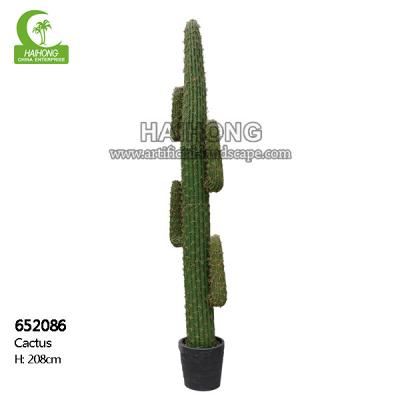 Planta suculento artificial alta HAIHONG da altura 208cm da simulação