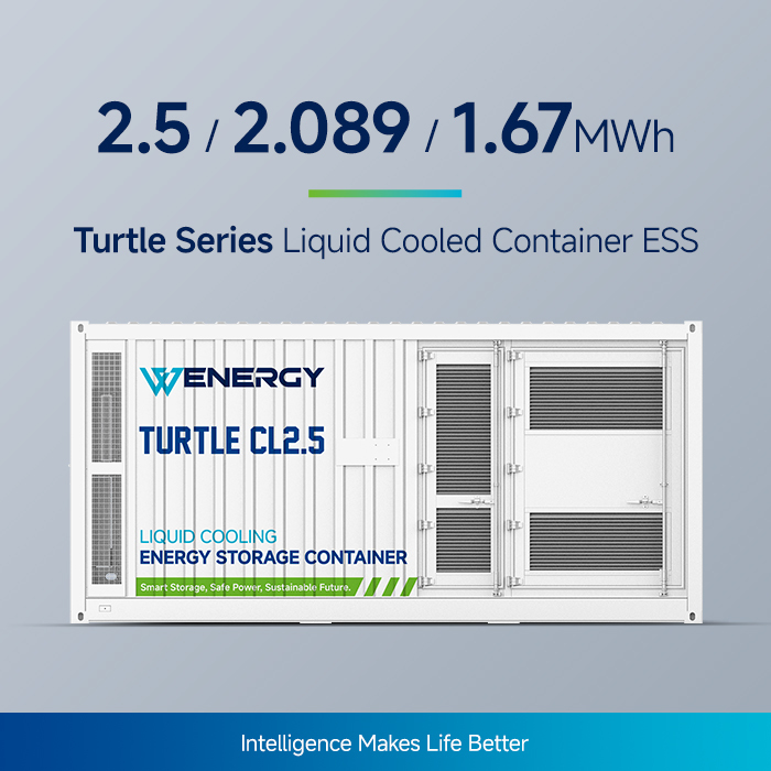 2.5 / 2.089 / 1.67 MWh Containerized Energy Storage System with Intelligent Liquid Cooling and C4H Corrosion-proof Grade