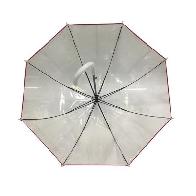 Le parapluie transparent de vente chaud fantastique en vente voient le parapluie