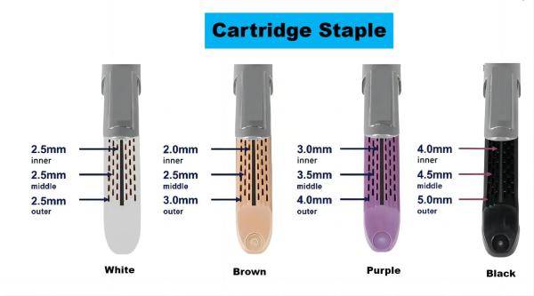 Dispositif stérile indolore chirurgicale Endoscopique coupe Stapler Laparoscopique Stapler