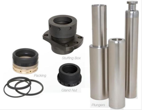 Well Service,  SPM,  SPM TWS600 plunger pump,  SPM  QWS2250 plunger pump,  SPM TWS2500