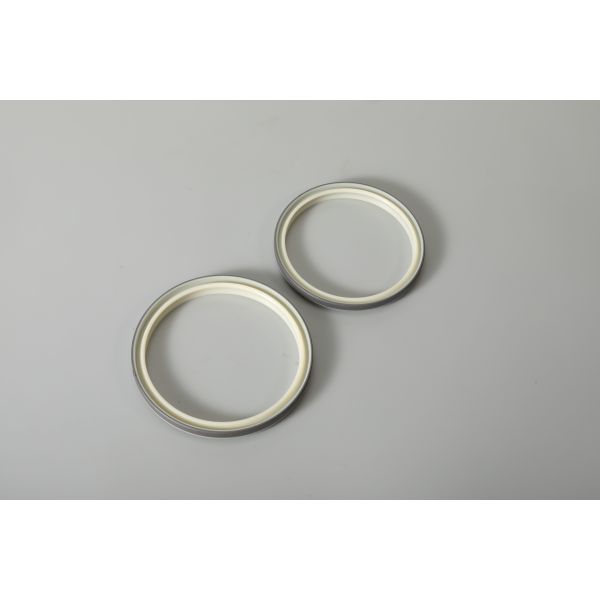 0.05mm Tolerance Oil Seal Water Chemical Resistance Double Lip Seal Hydraulic Cylinder