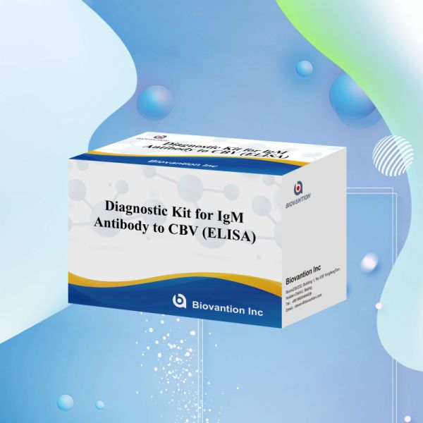 18 Months Shelf Life Enzyme-Linked Immunosorbent Assay Test For IgM Antibody To CBV