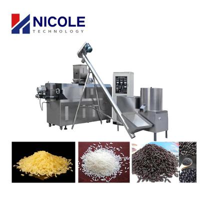 Nutritional 500-600kg Per Hour Artificial Rice Extruder Machine For Frk Plant