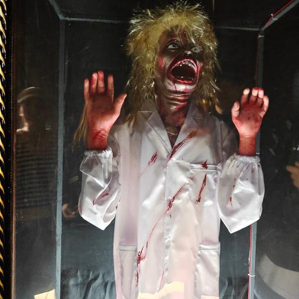 Mirror Beauty Haunted Mansion Props With Scary Sound Control Customized Size