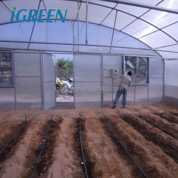 Single-Span PE PC Sheet Greenhouse for Hot & Arid Regions-Heat-Resistant Agricultural Greenhouse