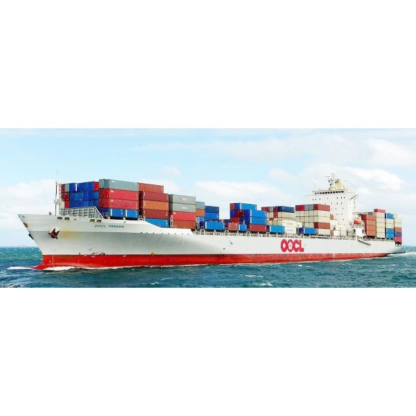 Складировать срочный товароотправитель перевозки Китай дня перехода снабжения 3-5 Нинбо к Мексике