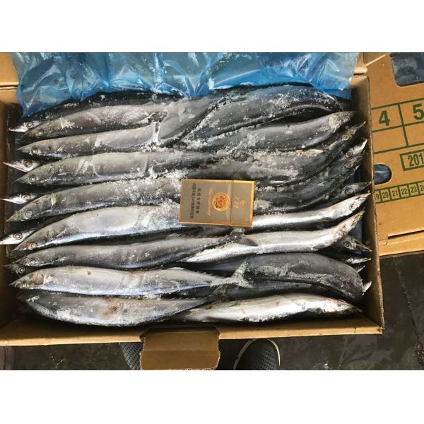 BRC High Protein BQF Frozen #3 Pacific Saury Fish
