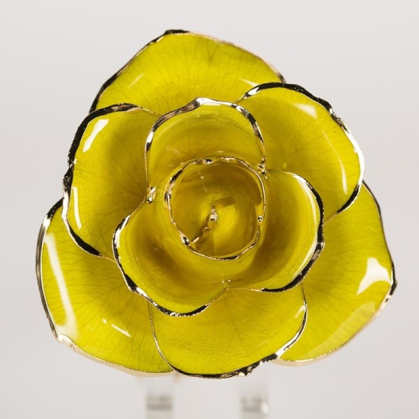 24k Gold Plated Rose  Handmade Preserved Rose Gold Rose Gift 2024 Upgraded Mother's Day Gift Factory Directly Supply