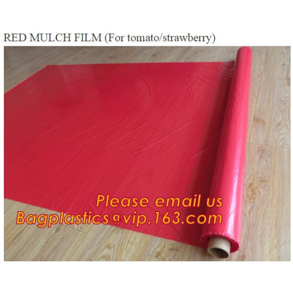 Agricultural Mulching Film Used for Fruit, Flower and Vegetable