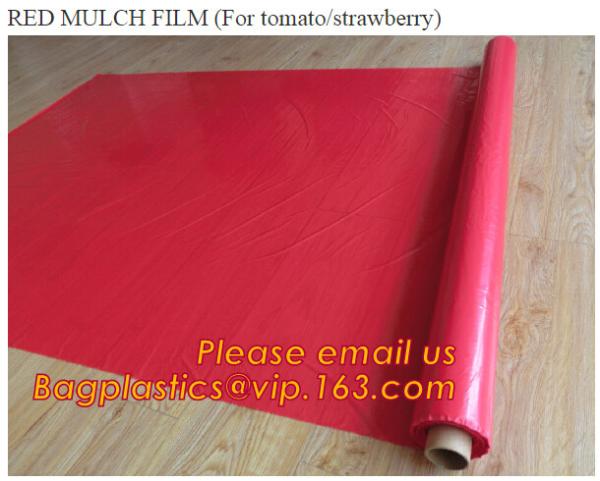 Greenhouse, Agricultural Polyethylene Film, Mulch Films, Horticultural Products, Perforated Wrap, Tomato, Flowers