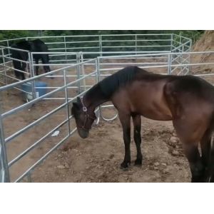 1.8 * 2.1m Galvanized Metal Horse Corral Fence Round Pen For Farm