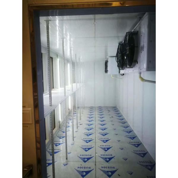 Painted Steel Stainless Steel Walk In Freezer Storage Cold Room For Frozen Food