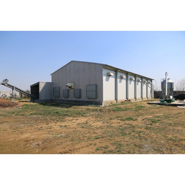 Modern Steel Pig House Farmhouse Pig Housing Warehouse Construction Materials for Pig Farming