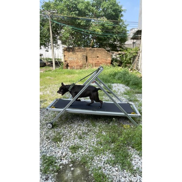 Dog Exercise Slatmill Pets Treadmill Walking Machine for Pit Bull Stocked Carpet Mill