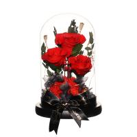 Os presentes para os amantes quentes vendem rosas eternos preservaram flores em presentes do dia de Valentim para o dia do Natal e de mãe