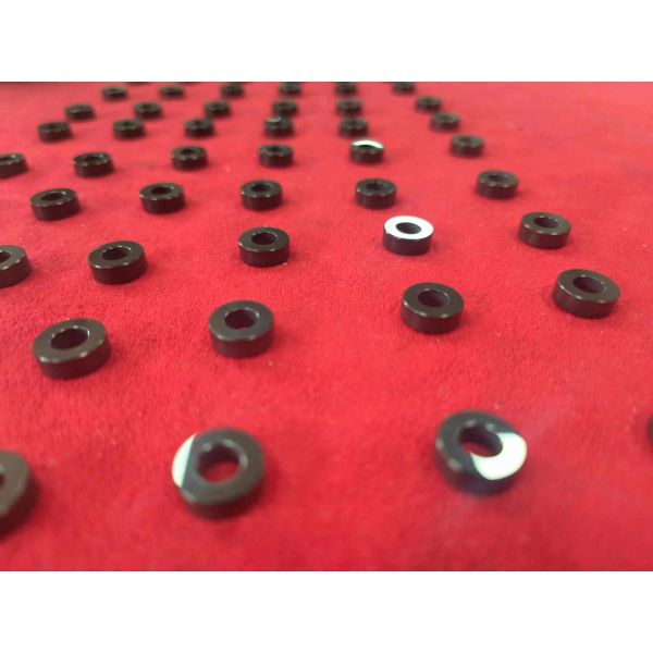 SiC Sliding Bearing with Pressureless Sintered Silicon Carbide