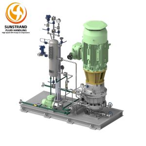 Integrally Geared API Pumps