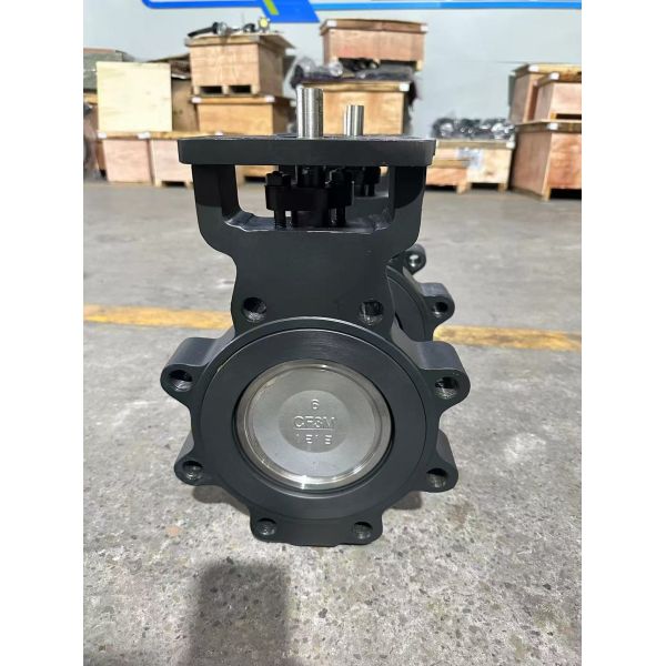 DN100 Electric WCB High Perforamnce Double Eccentric Butterfly Valve Lug Type Water Valve