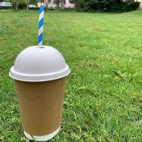 Tea Cup Cover Eco Biodegradable Pulp Sugarcane Paper Dome Lids