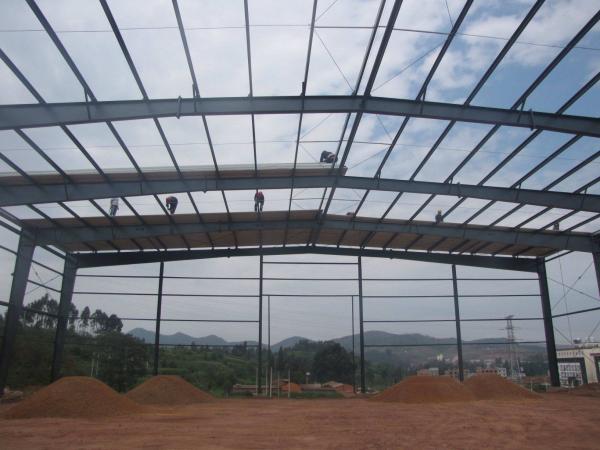 Lightweight Steel Structure Warehouse Shed with Q355 H Section Frame