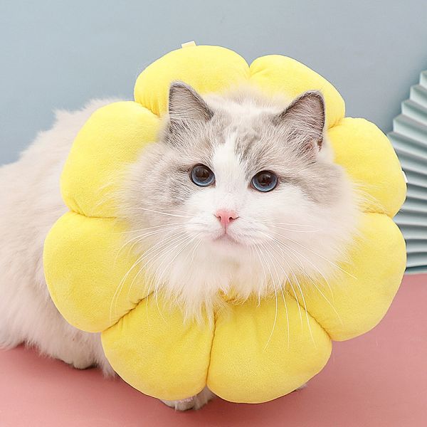 Amarillo de los cuellos del entrenamiento de Cat Elizabeth Ring Warm Anti Licking Pet