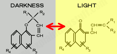 Anti UV  Photochromic Lenses Hard Coating 1.56 Refractive Index