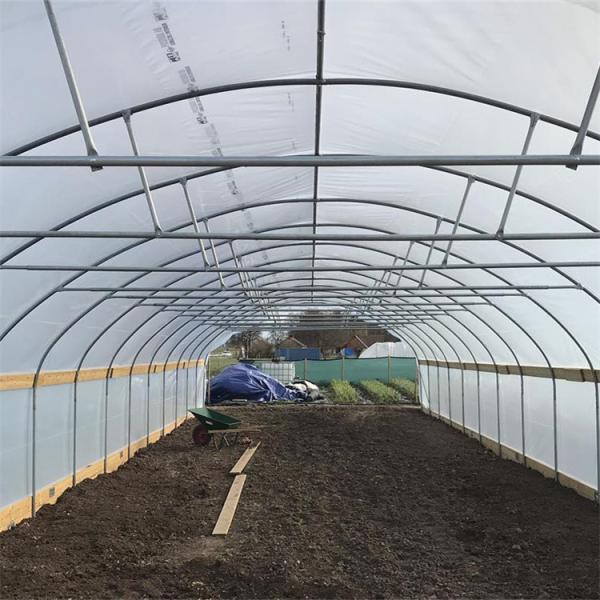 Sistema crescente hidropônico da única morango plástica da estufa do túnel do período