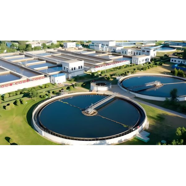 Holistic Full Wastewater Aeration Blower Aquaculture Sewage Treatment Plant Blower