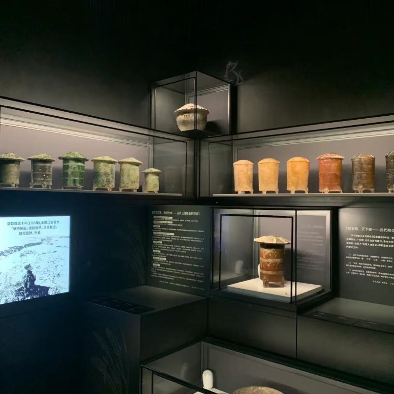 Stylish Heavy Duty Museum Display Showcase with Security Lock Glass Doors LED Lighting Eco-Friendly Design for Historical Relics