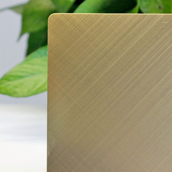 Перекрестная почищенная щеткой нержавеющая сталь 10 покрывает коррозионностойкие материалы