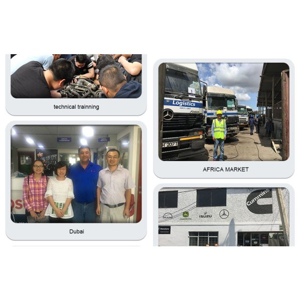 OEM new Shumatt  Fuel Injector 0445120083  suits diesel fuel engine