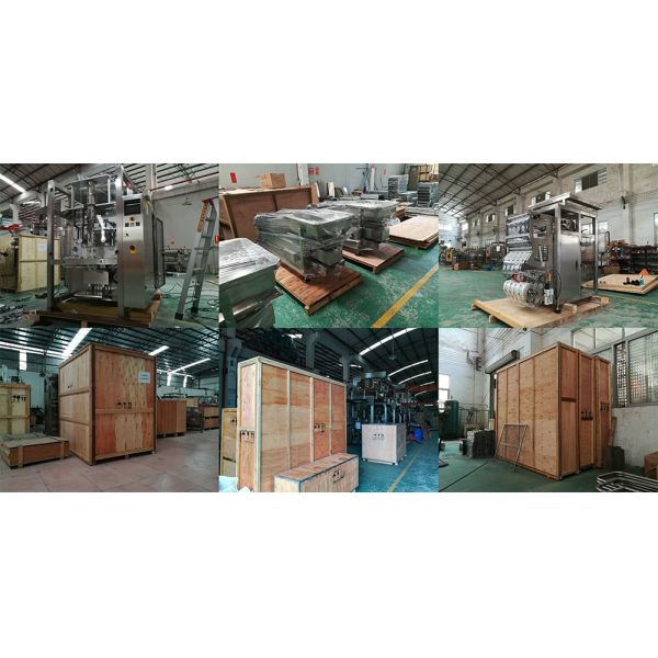 Rotary Packing Machine Premade Bags