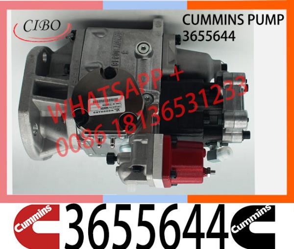 Cummins NTA855 Engine Parts Injection Fuel Pump 3655644