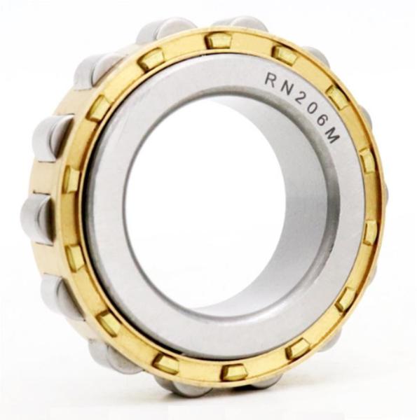 RN206M Cylindrical Roller Bearing Rated Static Load of 53.0 KN For Rotational Performance 30*53.5*16mm