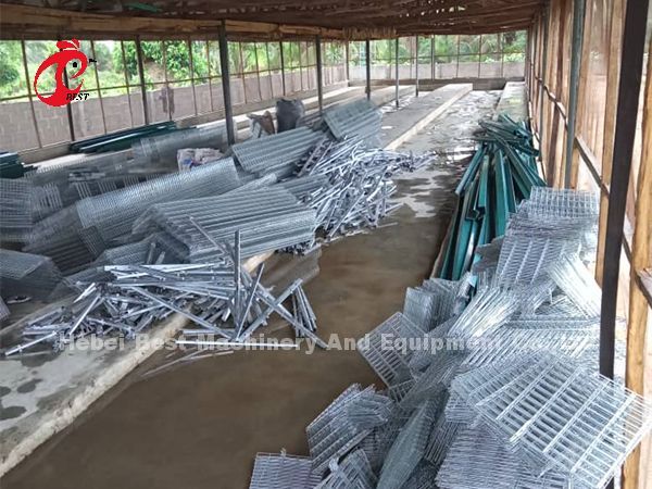 Цена клетки батареи птицефермы в радужке клетки слоя яруса Нигерии 4